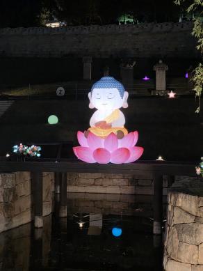 2026년 성주군 부처님 오신날 행사(연꽃위의 부처) 썸네일