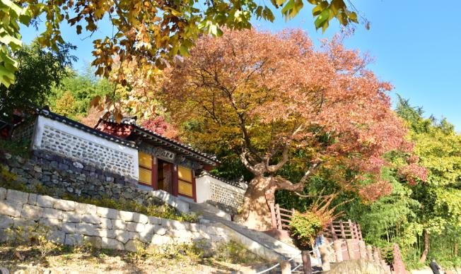 밀양 아랑사 썸네일