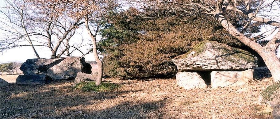 광주광역시 서구 8경(5경 용두동지석묘) 썸네일