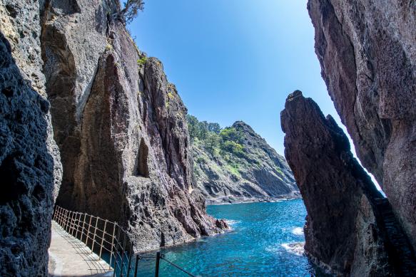 울릉도 도동항 썸네일