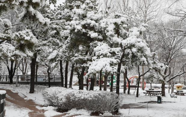 용산가족공원 설경01 썸네일