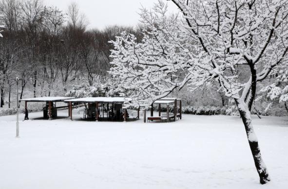 용산가족공원 설경02 썸네일