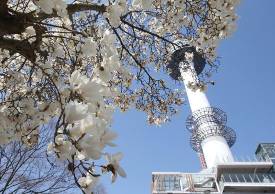 남산 풍경 01 썸네일