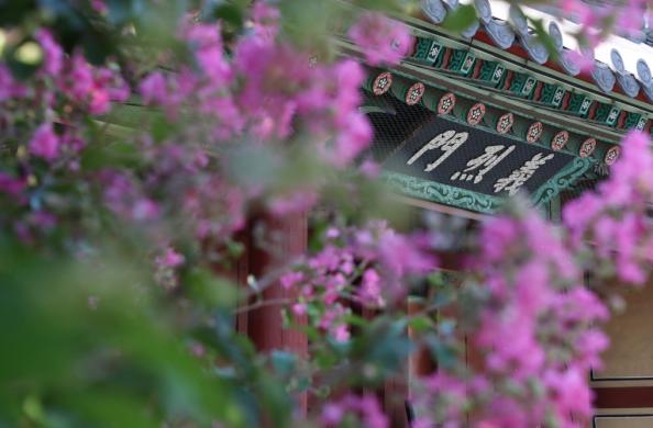 용산구 효창공원 썸네일