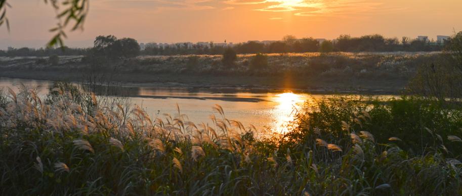 광주광역시 서구 8경(4경 서창들녘낙조) 썸네일