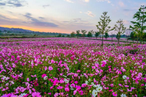 여주 당남리섬 썸네일