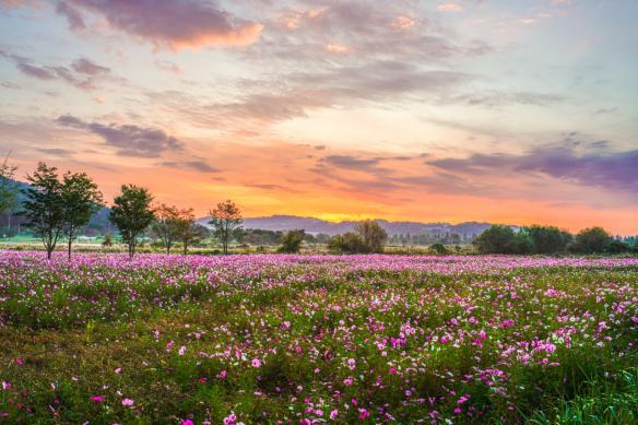 여주 당남리섬 썸네일