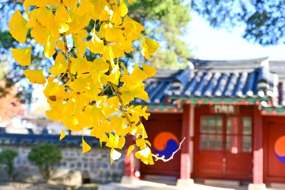 여주 대로사 가을 썸네일