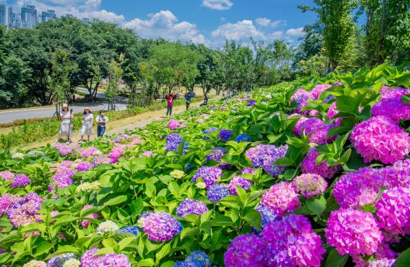 구미 다온숲 썸네일