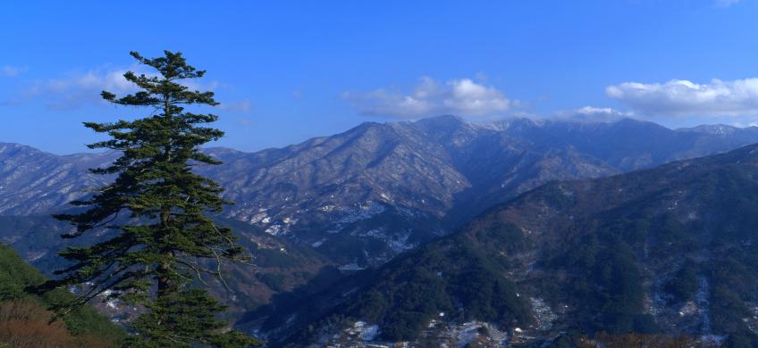 금대지리 썸네일