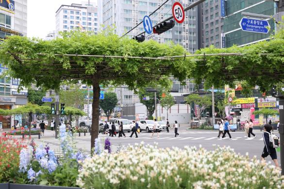 구로구청 앞 사거리에 조성된 녹색 그늘쉼터 전경 썸네일