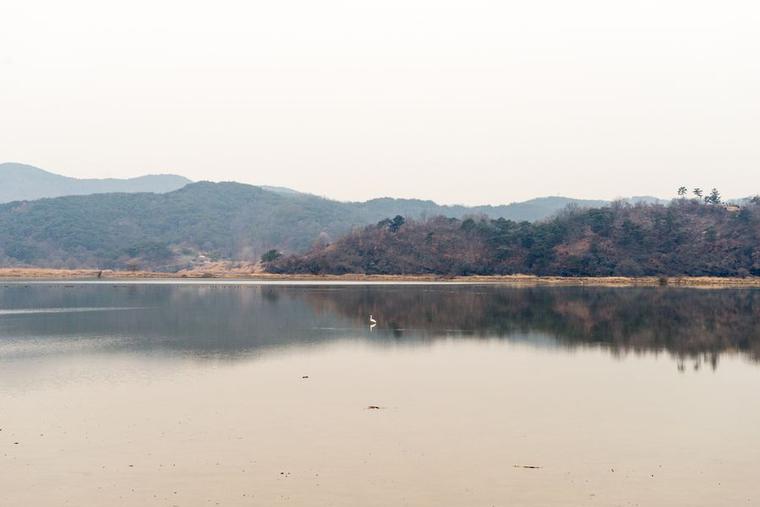 본이 미지는 우포늪생태관_1번  썸네일 사진입니다.