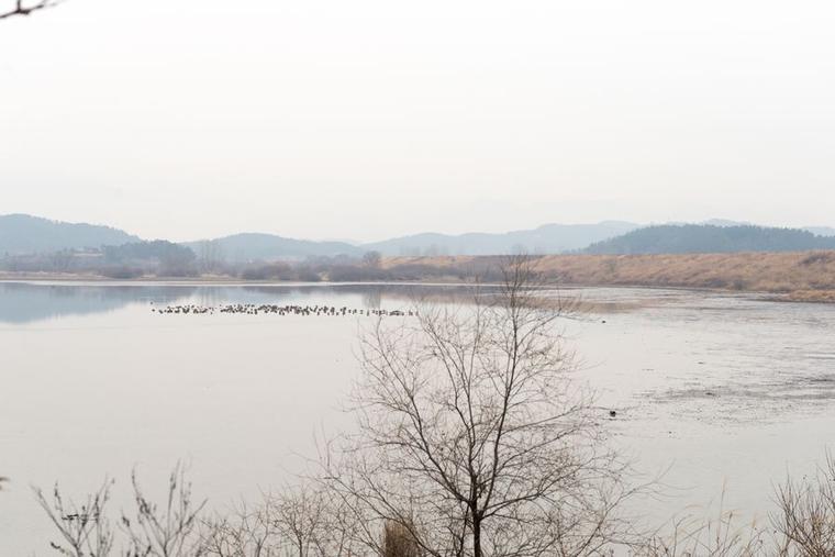 본이 미지는 우포늪생태관_3번  썸네일 사진입니다.