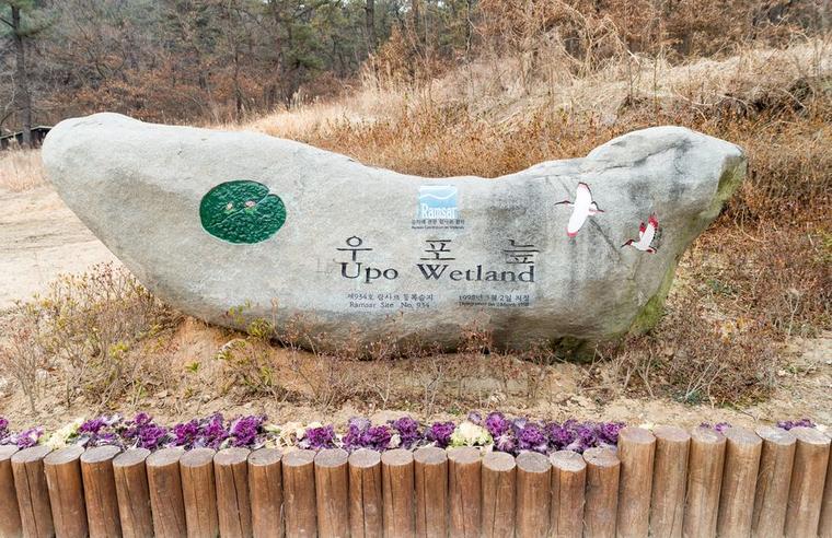 본이 미지는 우포늪생태관_4번  썸네일 사진입니다.