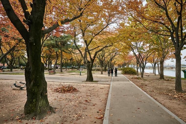 본이 미지는 동촌유원지_2번  썸네일 사진입니다.