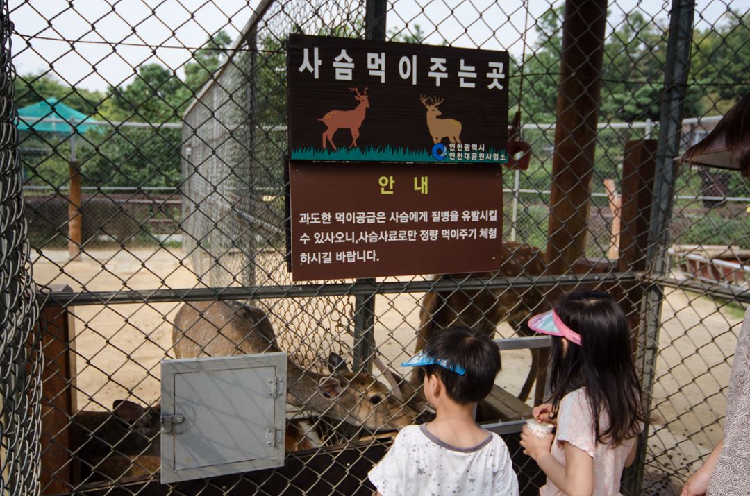 인천대공원 어린이동물원 썸네일