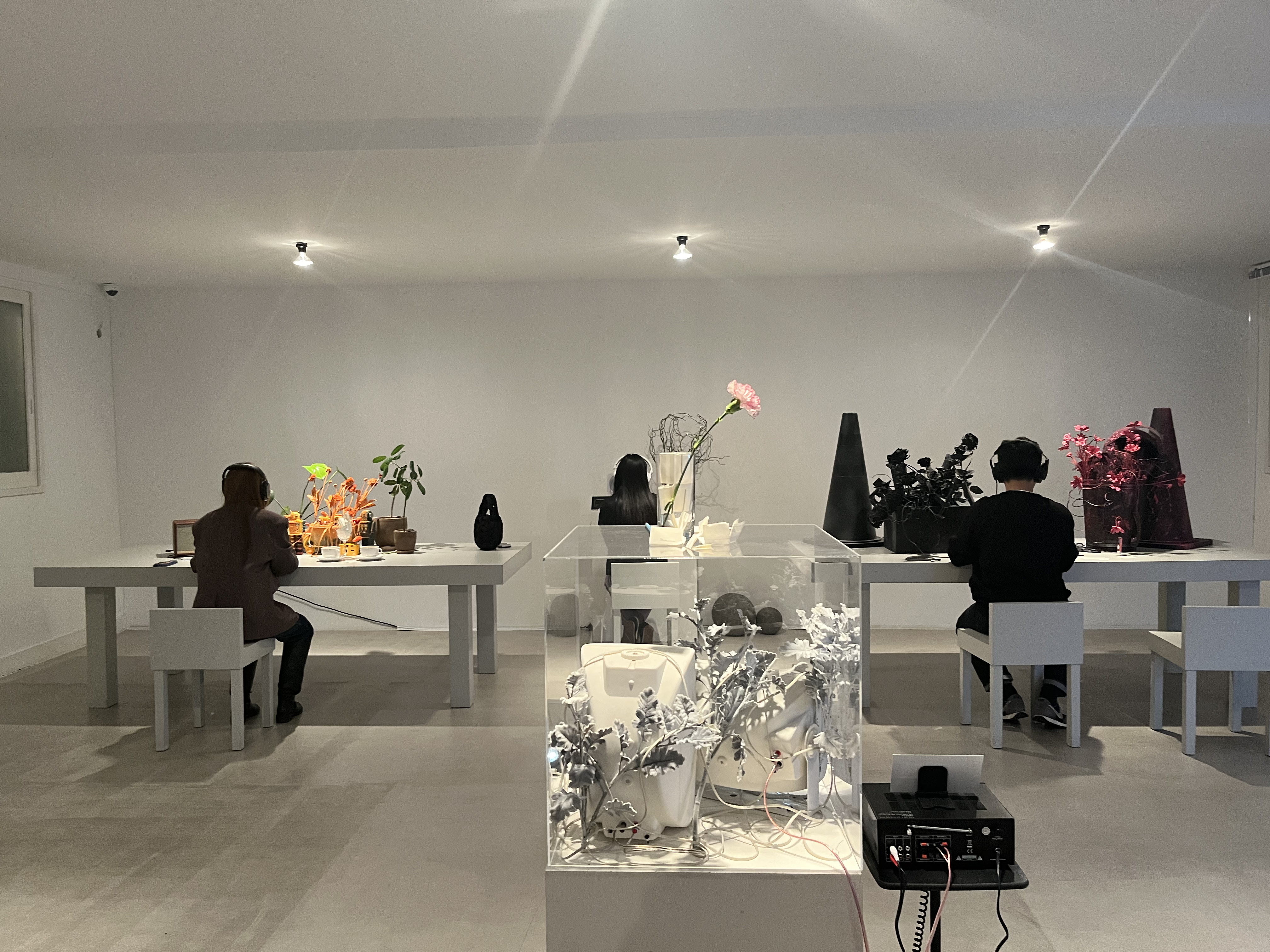 사운드울프(Soundwolf)2