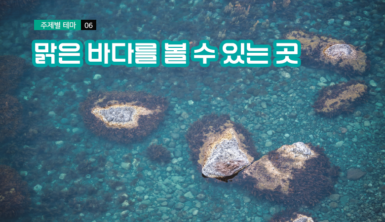 맑은 바다를 볼 수 있는 곳
