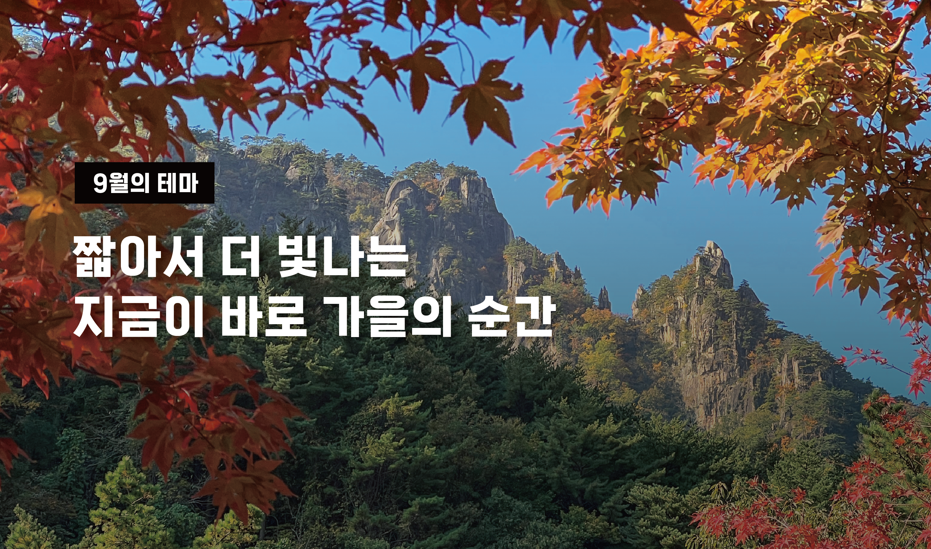 9월 이달의 테마