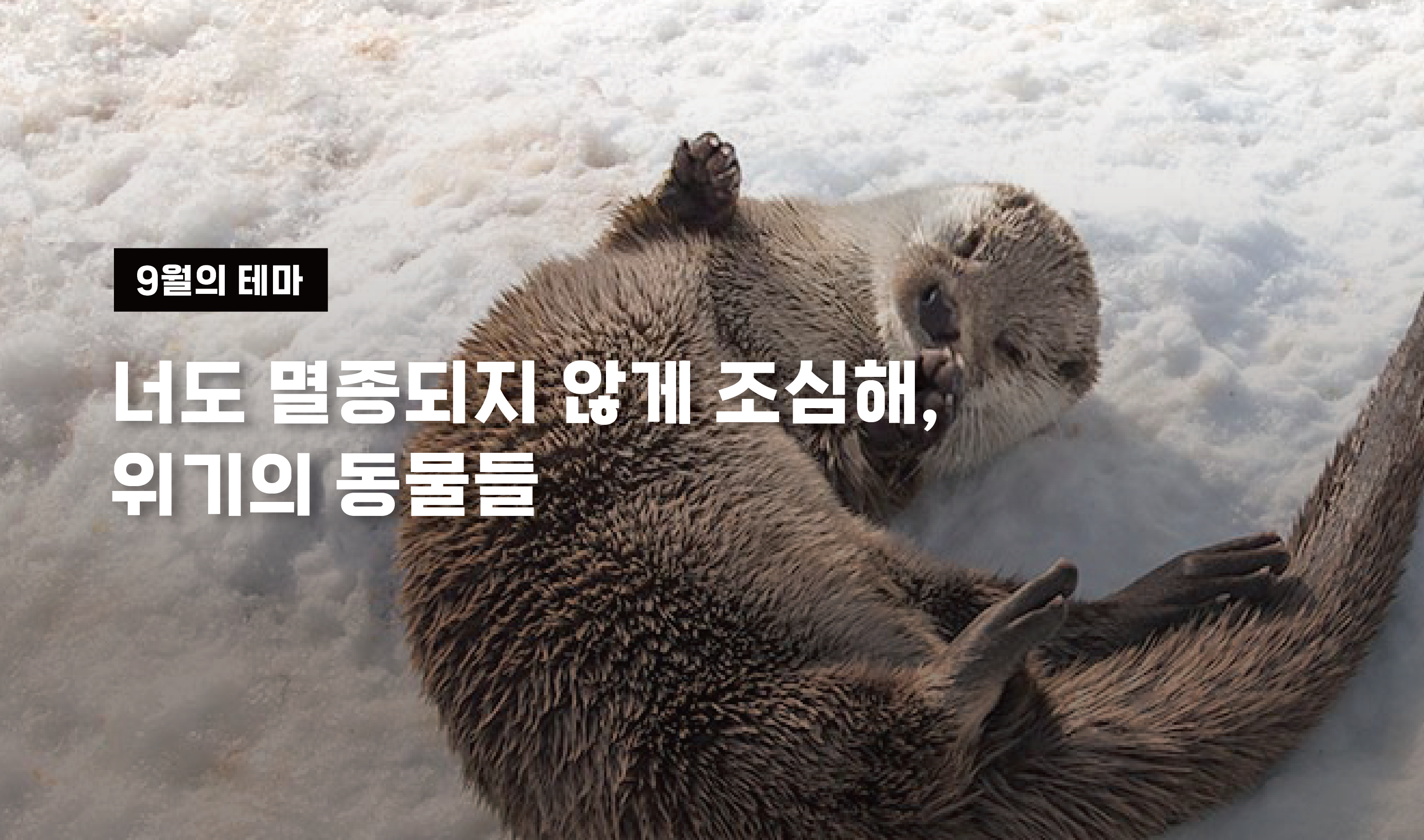 9월 이달의 테마