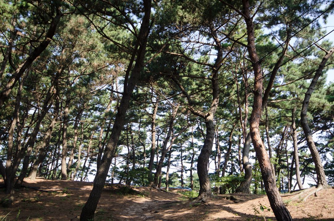 공공저작물 검색 | 통합검색 | 공공누리