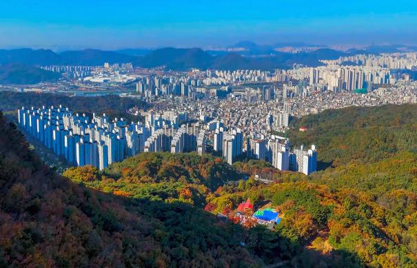 호암산 썸네일