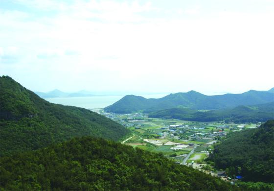 지포신경 썸네일