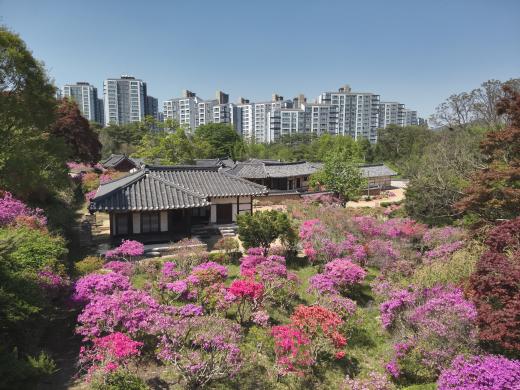 사계고택의 봄 썸네일