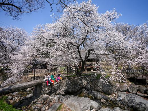거창 용원정 썸네일