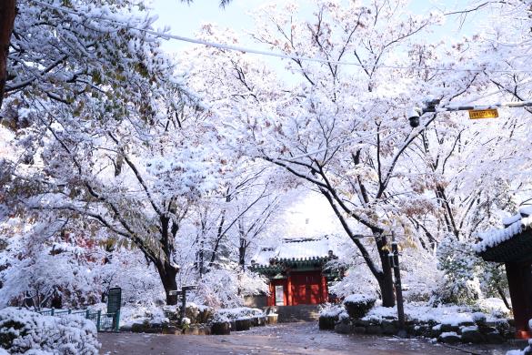 사육신공원 설경 썸네일
